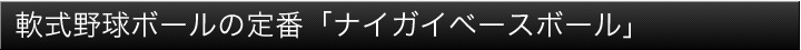 軟式野球の定番「ナイガイベースボール」